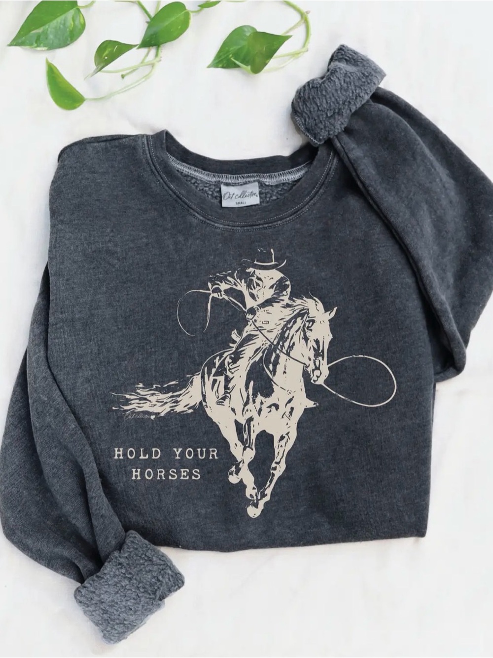 Hold Your Horses! Oat Collective Gray Fleece-Lined Sweatshirt